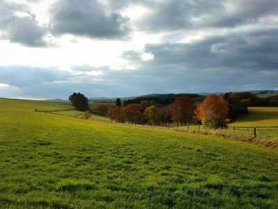 45 acres Full of Silence